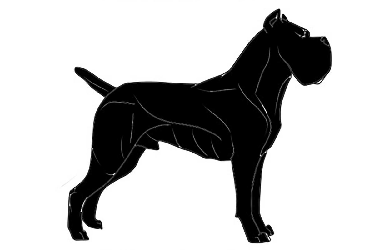 Portrait de Chiot 2 du Sang d'Orthos