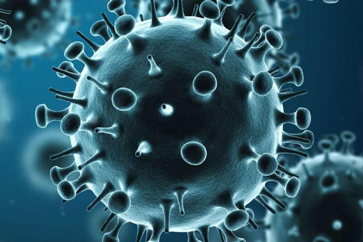 Coronavirus